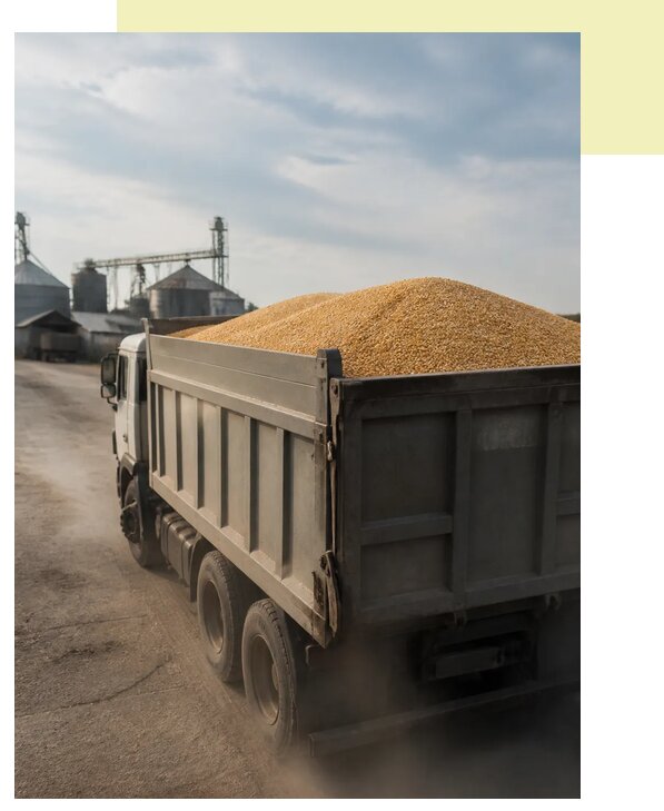 Перевозка сельхозпродукции навалом в Орёл по цене от 3037 р. | Агросервис-Орл